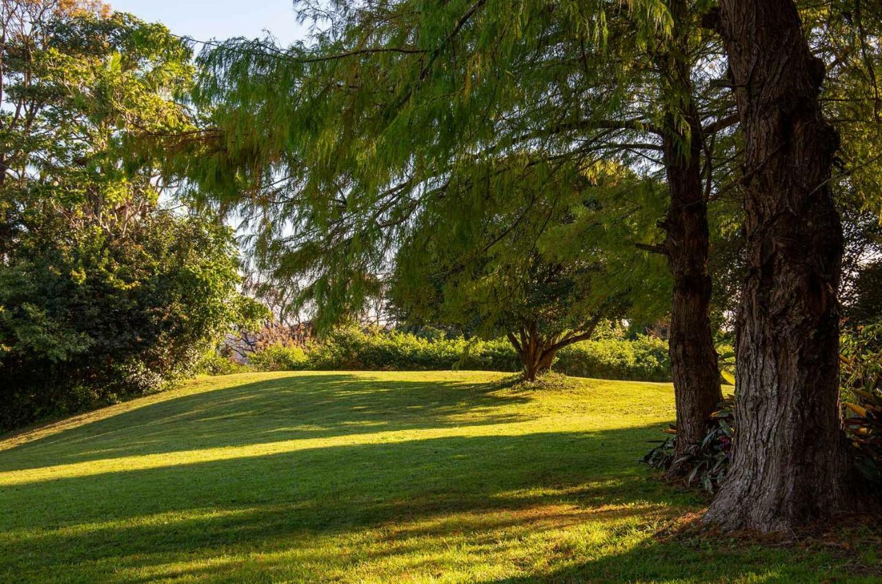 Montville Misty View Cottages Extérieur photo